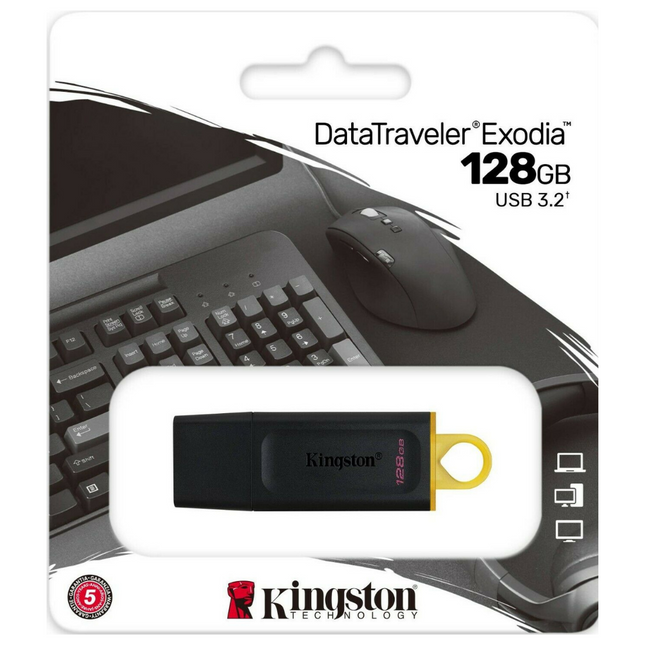 Kingston 128GB Carte Mémoire USB
