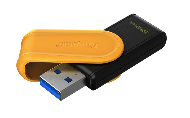 Kingston 512GB Carte Mémoire USB