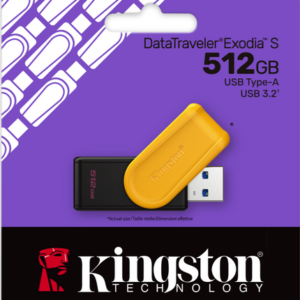 Kingston 512GB Carte Mémoire USB