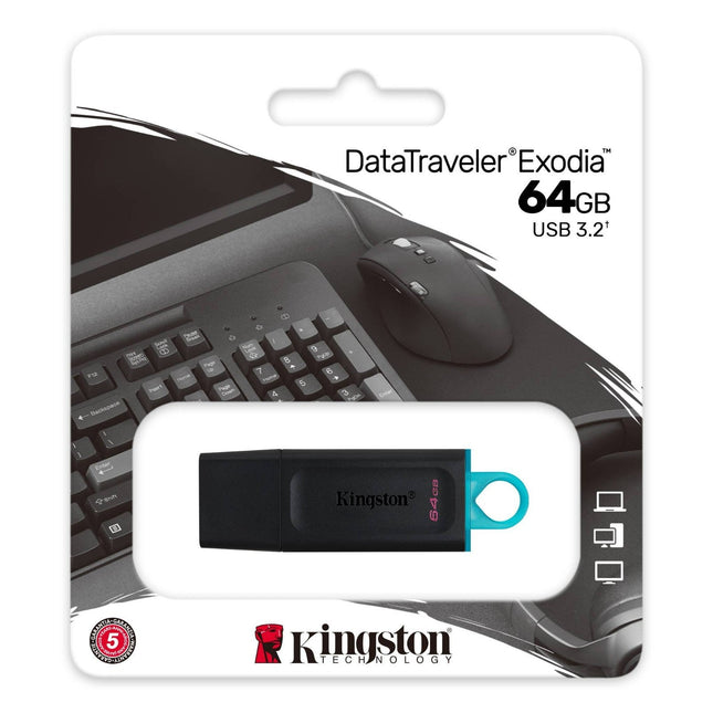 Kingston 64GB Carte Mémoire USB