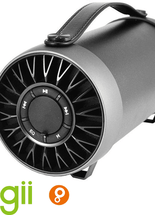 Enceinte bluetooth Cigii noir S22E