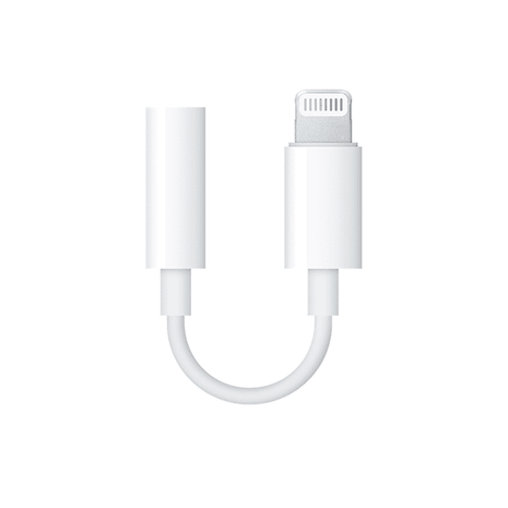 Adaptateur Lightning Compatible Blanc Pour iPhone
